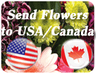 Send Flowers to the Unted States